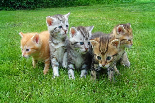 Home 971288e2 10aa 4845 b834 2b4eff146628